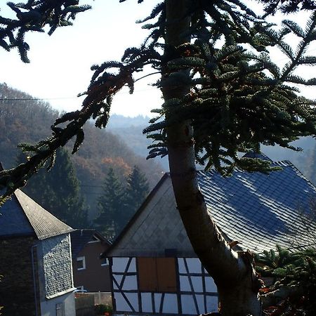 Vakantiehuis Hunsrueck Leisel المظهر الخارجي الصورة