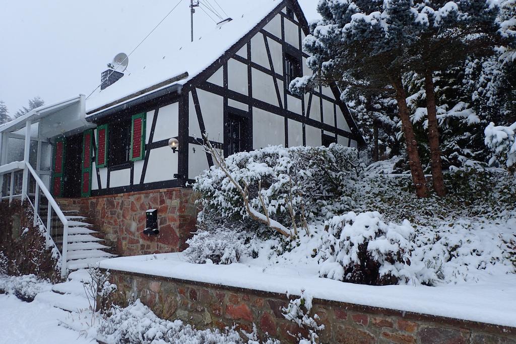 Vakantiehuis Hunsrueck Leisel المظهر الخارجي الصورة